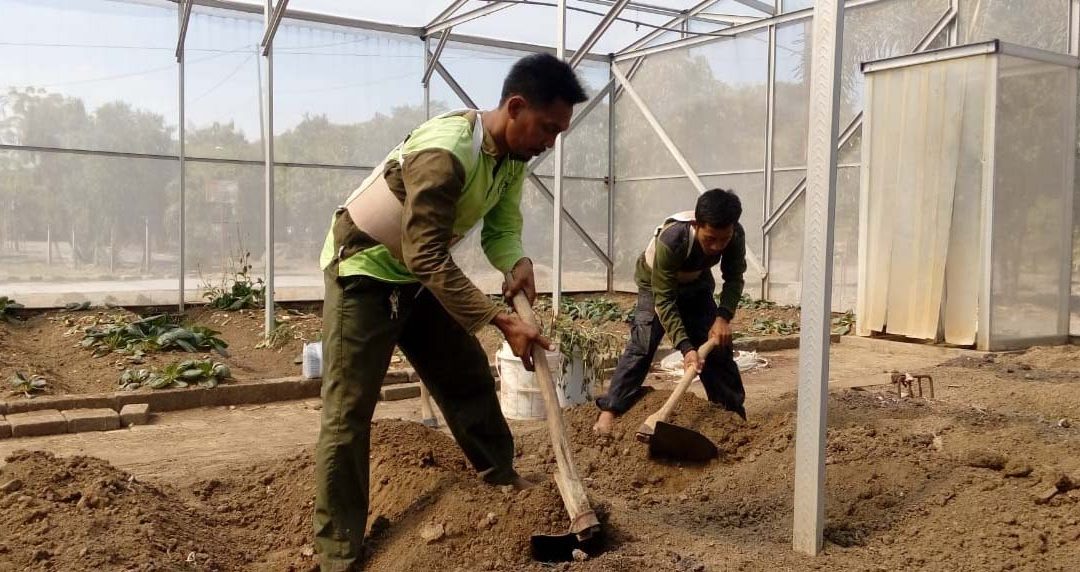 Korset Go, Permudah Petani Beraktivitas