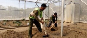 Korset Go, Permudah Petani Beraktivitas